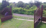 Pohon bran – fotka 2